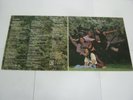 RECORD ALBUM THE INCREDIBLE STRING BAND CHANGING HORSES 6752