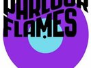 Parlour Flames-Manchester Rain VINYL LP NEW