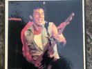 BRUCE SPRINGSTEEN - All those years - 10 LP box + booklet - collectors item