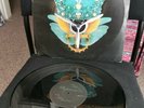 The Prodigy - Spitfire 12