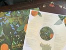 Lana Del Rey - Violet Bent Backwards Over The Grass - Limited Clear LP