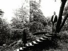 Timber Timbre-Timber Timbre (UK IMPORT) VINYL NEW