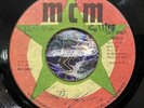 dub roots reggae 7