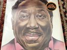 STILL SEALED Muddy Waters I'm Ready LP BLUE SKY 34928 NEVER OPENED