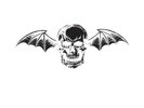 Avenged Sevenfold - Self-Titled Vinyl 2xLP