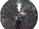 A Day To Remember Homesick Picture Vinyl