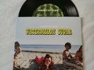 Harry Styles Watermelon Sugar Vinyl (Black)