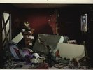 Sonic Youth - The destroyed room (Vinyl 2LP - 2006 - US - Original)