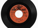 DOO WOP 45 THE DELL VIKINGS COME GO WITH ME ON  FEE BEE VG- ORIGINAL 1ST PRESS