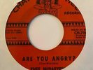 Chicano Sweet Soul/Garage 45 THEE MIDNITERS Are You Angry?/I Found A Peanut HEAR