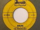 Doo Wop R&B Rocker 45 DEBONAIRS Darling/Whispering Blues Herald HEAR