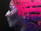 Steven Wilson ‎Hand Cannot Erase 2 x LP 180 Gram Vinyl Porcupine Tree NEW Record