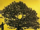 Jack Johnson In Between Dreams Black Vinyl LP New Sealed