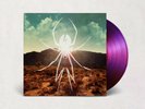 Vinyl 12