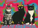 WE ARE SCIENTISTS WITH LOVE & SQUALOR: LIVE IN WOODSTOCK 1969 (LOVE RECORD STORE