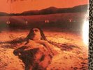 Alice In Chains - Dirt vinyl NEW LP import - grunge Rock Seattle