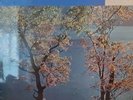 Campoli Encores with Norihiko Wada piano -  Stereo 1971 - exc condition