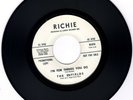 ENFIELDS-SHE ALREADY HAS SOMEBODY (RICHIE R1-670) (‘66) GARAGE-FOLK (HEAR) 45