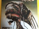 Rage Perfect Man 1988 UK vinyl album. Mint.