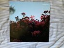 LANY - Make Out (2015, Polydor, 4774626)  Used Vinyl, 12