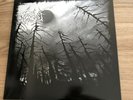 Forest Vinyl LP Blazebirth Hall Darker Than Black