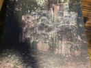 la dispute wildlife vinyl