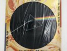 PINK FLOYD  The Dark Side Of The Moon   Picture Disk