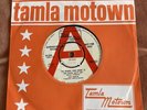 TONY MARTIN - THE BIGGER YOUR HEART IS TAMLA MOTOWN DEMO TMG 537