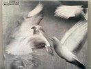 DONALD BYRD Free Form LP 1985 Blue Note DMM Remaster US PRESS *STELLAR* NM / NM-