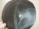 BEATLES HARD DAYS NIGHT X-Ray USSR Record Roentgen Bones Ribs Music Vinyl
