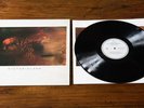 Vinyl 12