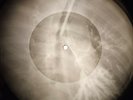 Beatles - Something X-RAY OF THE USSR X-RAY BONES RECORD