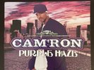 CAM'RON - PURPLE HAZE Rap Hip Hop PURPLE COLORED VINYL 2004 -  2 LP EX