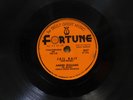 Andre Williams detroit RnB 78 Jail Bait bw My Tears on Fortune