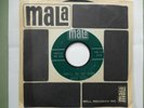 DAVID GATES You'll Be My Baby MALA Rockabilly 45 VG++ GREAT  Promo Sleeve