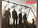 The Stranglers - very rare ‘Giants' Vinyl LP (fully signed)