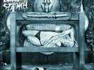 Pungent Stench - Ampeauty - 2018 Back On Black  - Grey Vinyl 2xLP