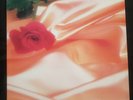 VINTAGE VINYL MUSIC RECORD THE ISLEY BROTHERS Between the Sheets