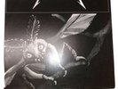 Metallica Disposable Heroes Vinyl Record