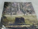 WOLVES IN THE THRONE ROOM-CELESTIAL LINEAGE NEW VINYL RECORD