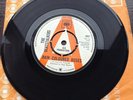 THE BEATSTALKERS * RAIN COLOURED ROSES / EVERYTHING IS YOU  DEMO * PROMO - B0WIE