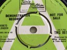 Diana Ross,DEMO,Touch Me In The Morning/Baby,It's Love,EX+,1973,Tamla Motown