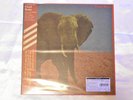 FOOD BRAIN-SOCIAL GATHERING-JAPAN LP Ltd/Ed +Tracking number