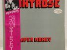 MONTROSE / PAPER MONEY JAPAN ISSUE LP PROMO WHITE LABEL W/OBI,I NSERT