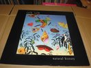 TALK TALK NATURAL HISTORY THE BEST OF ORIGINAL ITALIAN COPY VERY RARE