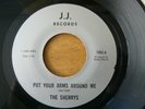 SHERRYS - PUT YOUR ARMS AROUND ME
