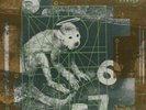 PIXIES Doolittle VINYL LP BRAND NEW