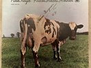 PINK FLOYD AUTOGRAPHED ATOM HEART MOTHER LP Storm Thorgerson Harvest Vinyl Album