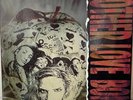 Mother Love Bone Apple Pearl Jam Soundgarder Grunge LP Record Vinyl Import rock