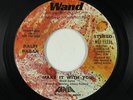 Latin Sweet Soul 45 - Ralfi Pagan - Make It With You - Wand/Fania VG+ mp3 promo